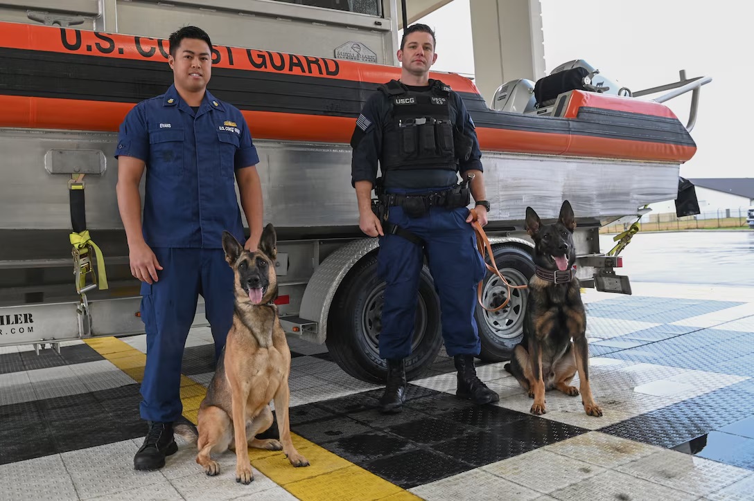 Today, the modern Canine Explosive Detection Teams Program no longer relies on miscellaneous dog breeds. (U.S. Coast Guard) Today, the modern Canine Explosive Detection Teams Program no longer relies on miscellaneous dog breeds. (U.S. Coast Guard)